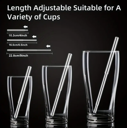Reusable Straw Set